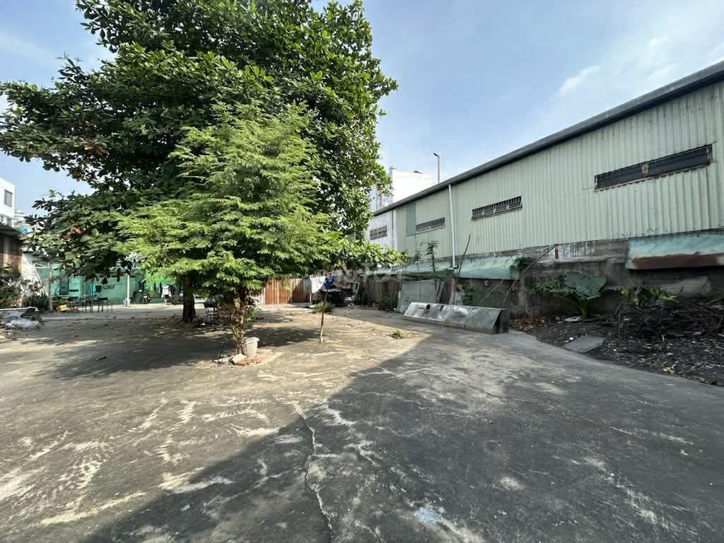 Cho thuê đất trống siêu RỘNG 1000m2 ở gần Lê Trọng Tấn, Tân Phú
