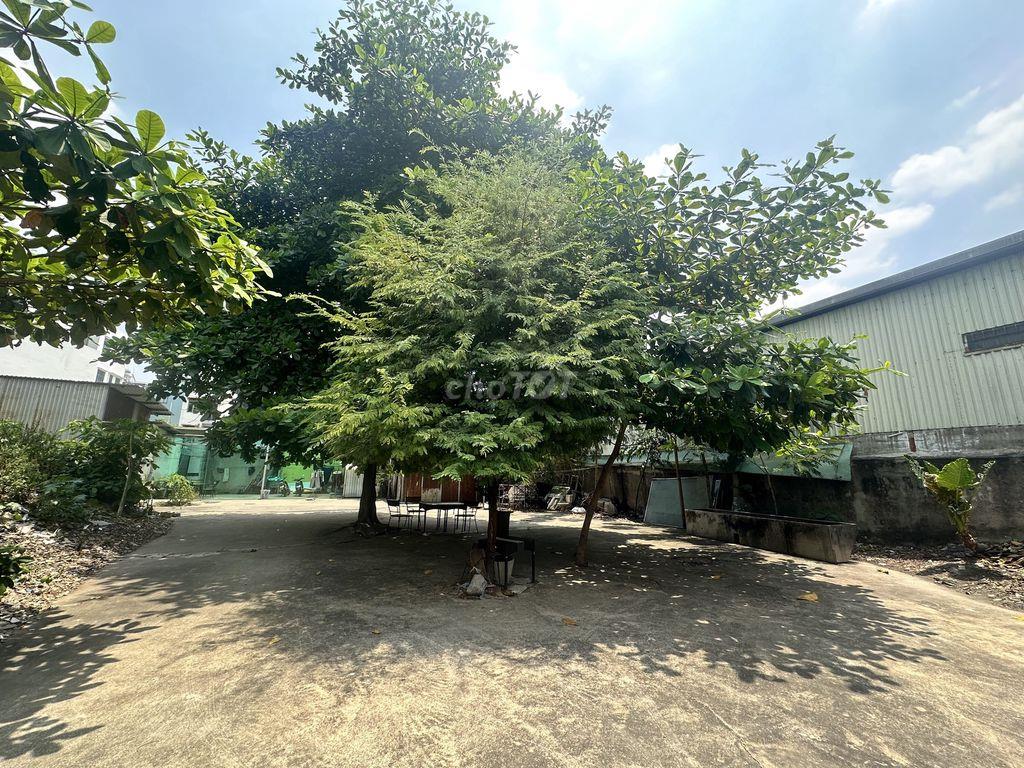 Cho thuê đất trống siêu RỘNG 1000m2 ở gần Lê Trọng Tấn, Tân Phú