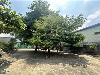 Cho thuê đất trống siêu RỘNG 1000m2 ở gần Lê Trọng Tấn, Tân Phú
