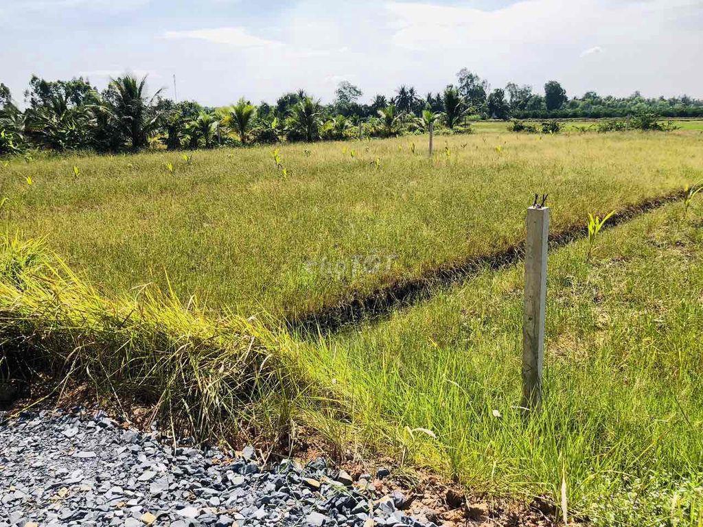 đất nhà vườn xã Tân Hòa đẹp