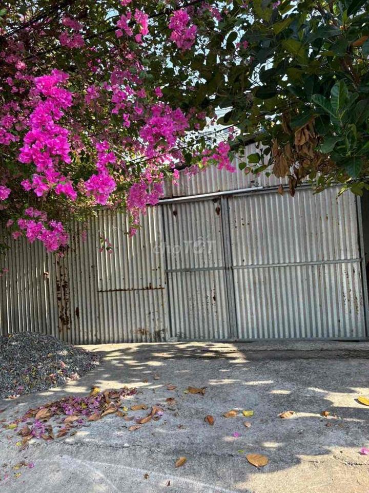 nhà ở và đất thổ cư 300m2