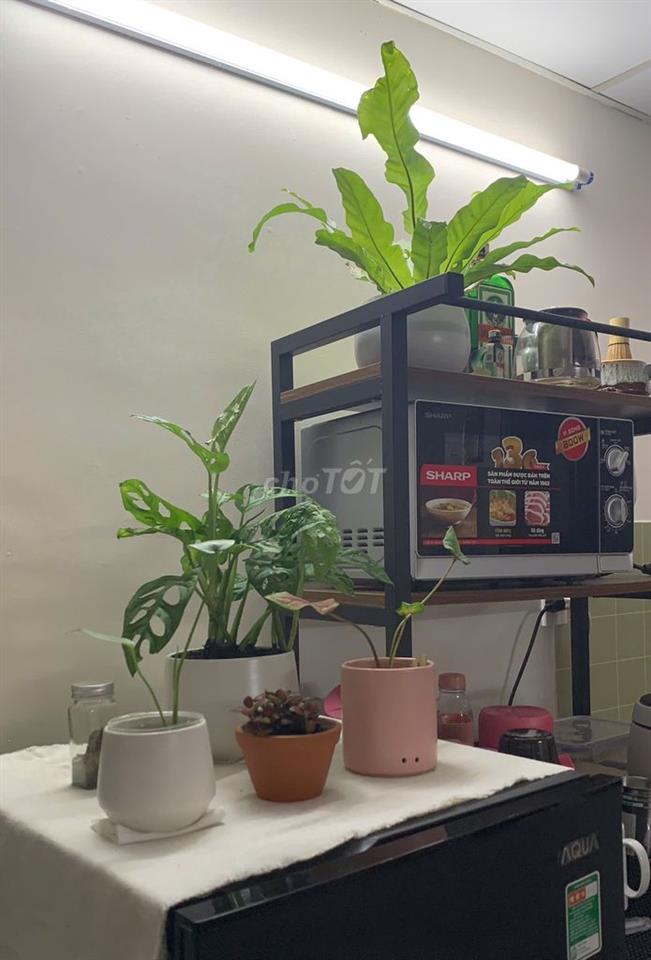 TRỌ 30m2 Ban Công - Q3 Cư Xá Đô Thành