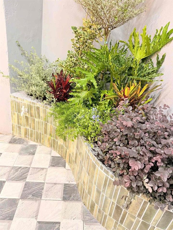 Mình Bán Nhà Chính Chủ ko quy hoạch ( gửi phí 60tr )