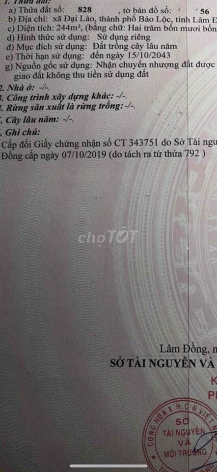 Cẩn bán đất phía sau Trường Học Hồng Bàng( Đinh Công Tráng)