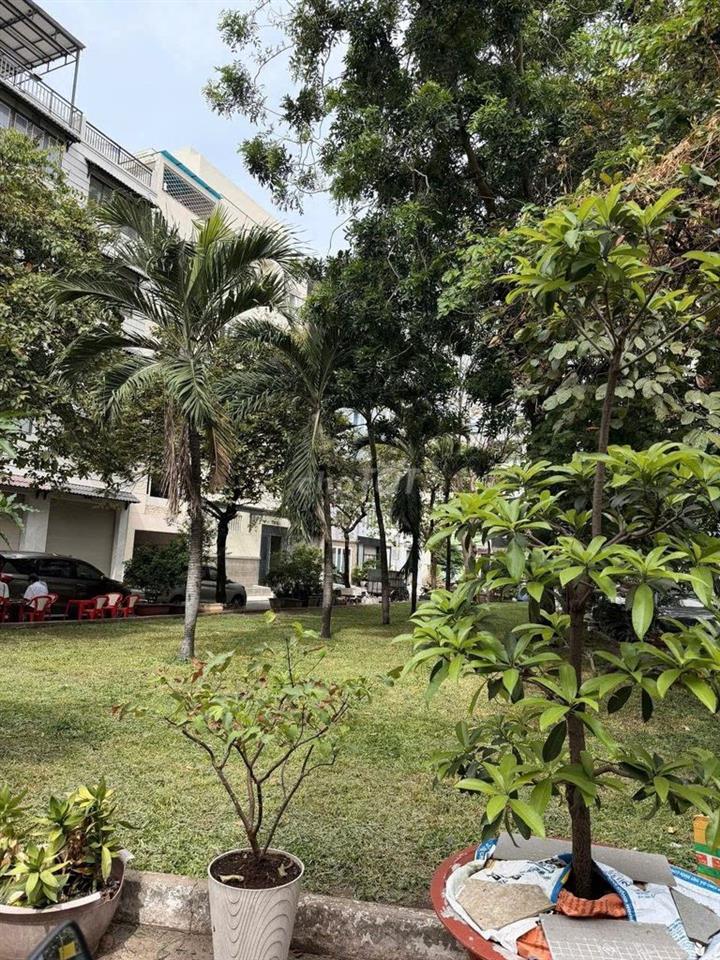 🏡 NHÀ ĐẸP 2 MẶT TIỀN ĐƯỜNG CHỢ LỚN ĐỐI DIỆN CÔNG VIÊN CHỈ 7.8 TỶ 🌳