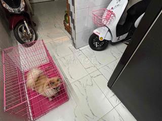 cần bán nhà hẻm q6
