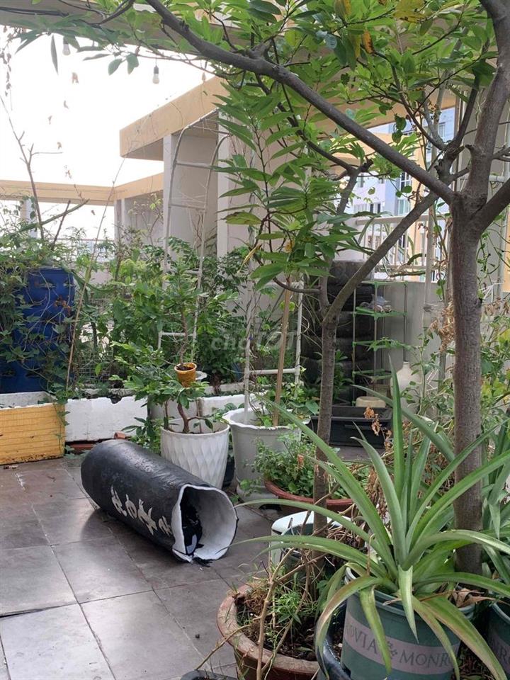 C.Ho s.vườn 124+150m2 -3PN2WC Belleza Q7