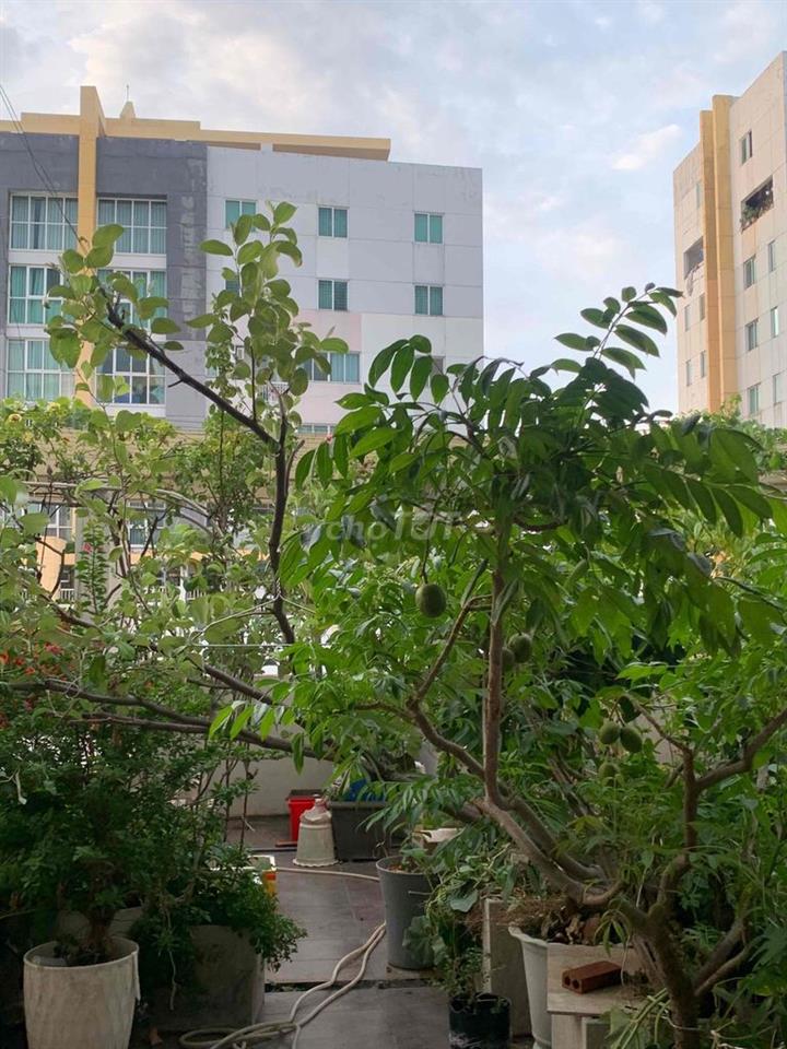C.Ho s.vườn 124+150m2 -3PN2WC Belleza Q7