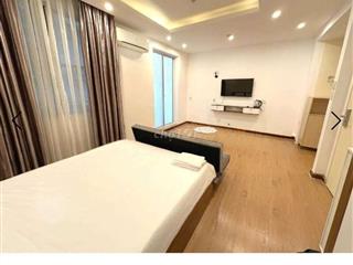 Trống sẵn 1pn cho thuê giá siêu tốt cửa sổ thoáng tại phú mỹ hưng.