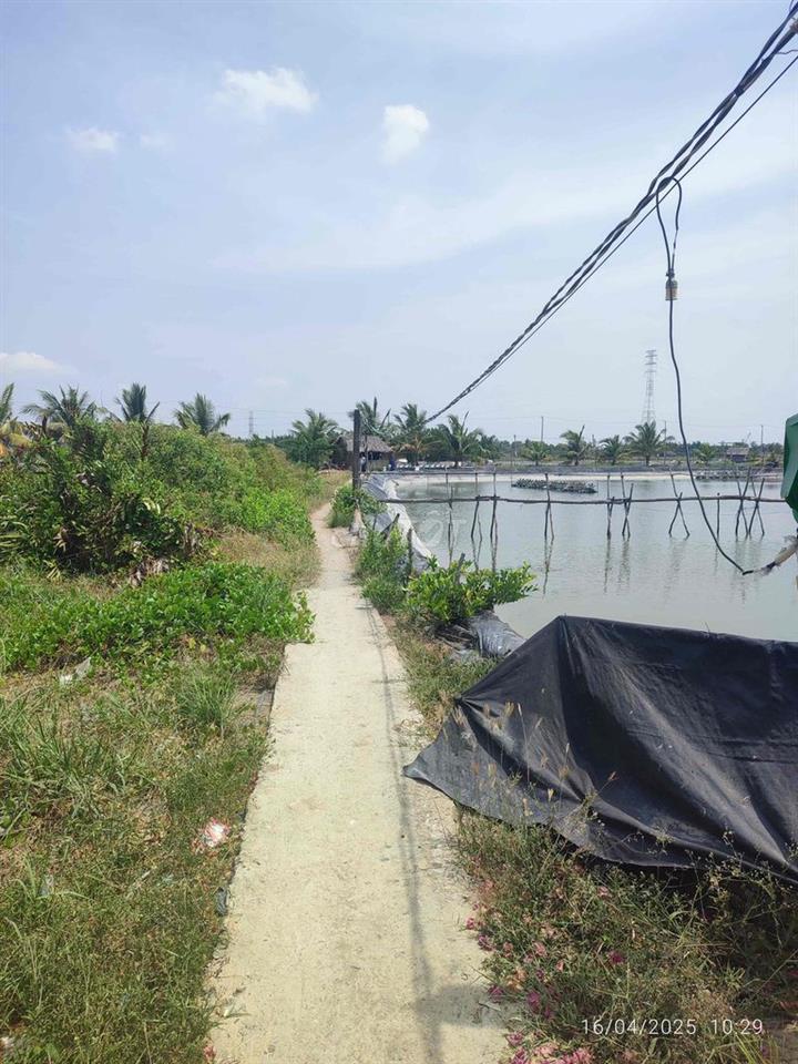 Bán đất Bình Khánh