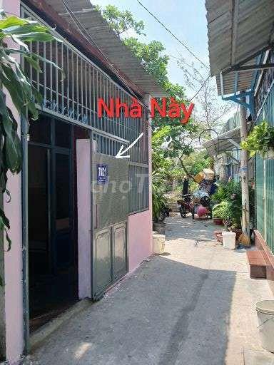 Nhà Cho Thuê Nguyên Căn 56m2 Đ.25A P.Tân Quy Cũ 