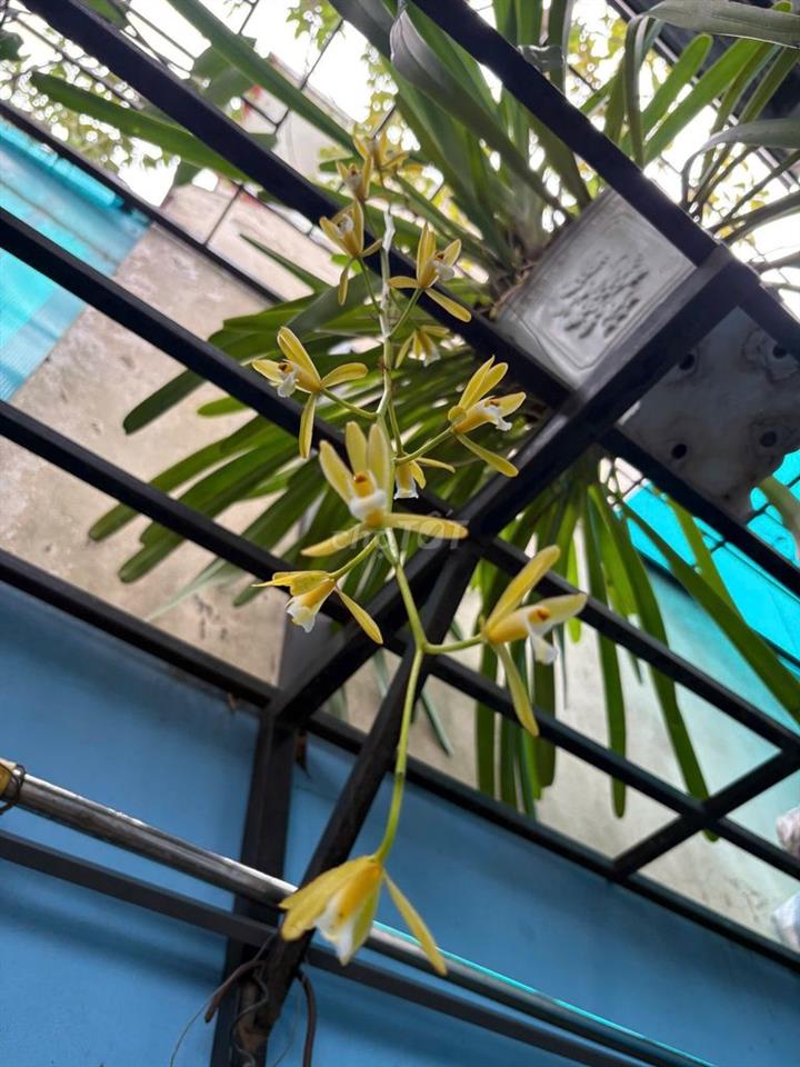 BÁN NHÀ QUẬN 7- PHƯỜNG PHÚ THUẬN- SÁT PMH