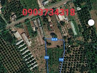 Bán Mặt Tiền 8.815m2 có 600m2 Thổ Cư, XB LL Châu Đức BRVT