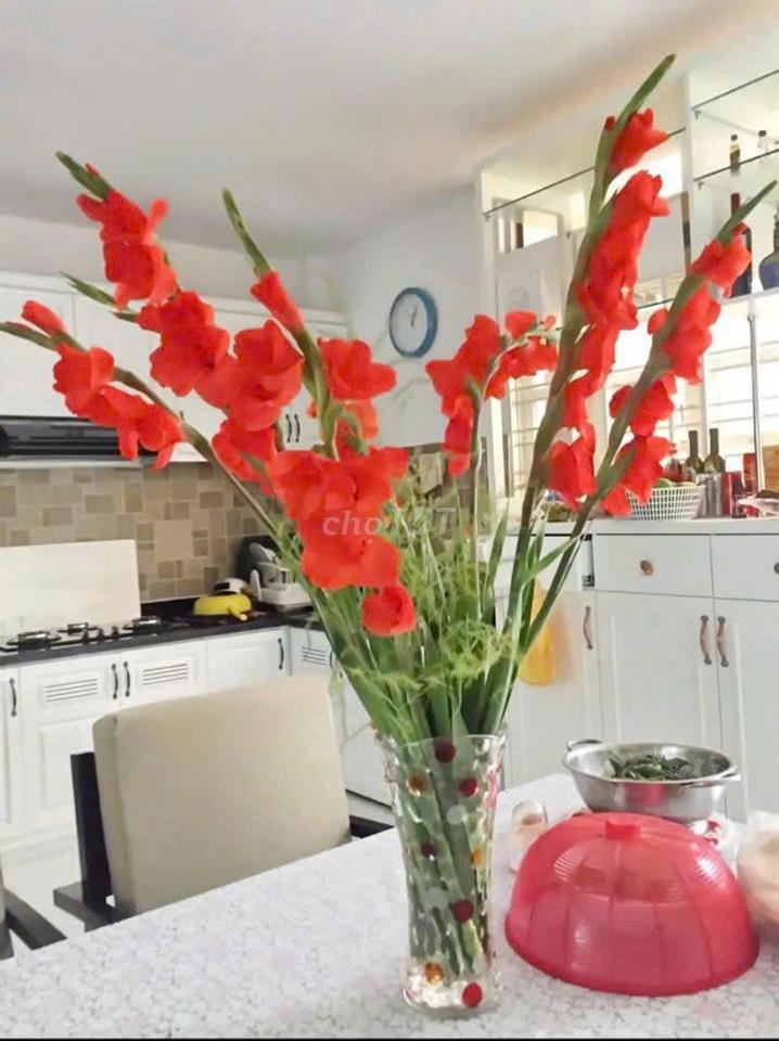 CHO THUÊ NHÀ PHỐ TĐC PHÚ MỸ –ĐƯỜNG D4,PHẠM HỮU LẦU | 90M²|CHỈ 20 TRIỆU