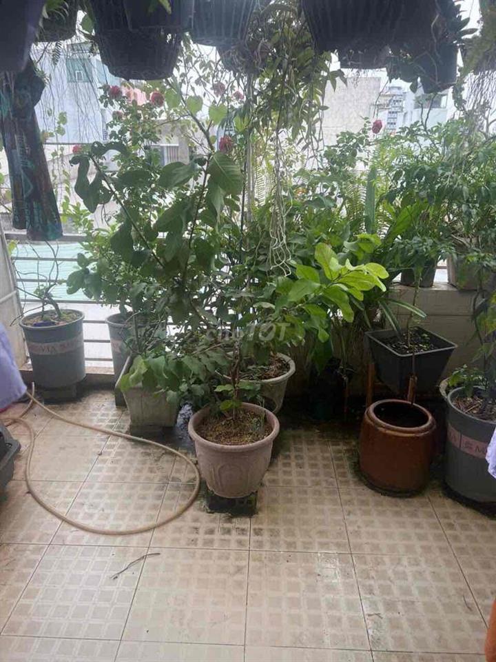 BÁN NHÀ HẺM HUỲNH TẤN PHÁT QUẬN 7, DT: 4 ❌15m (2 lầu sân thượng)