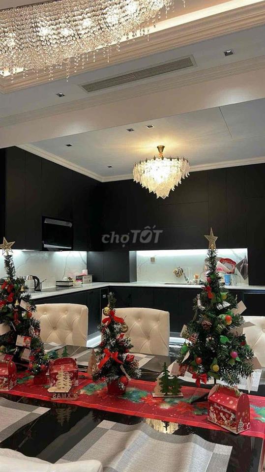 CHO THUÊ BIỆT THỰ VIP 8 PHÒNG NGỦ - THANG MÁY- FULL NỘI THẤT