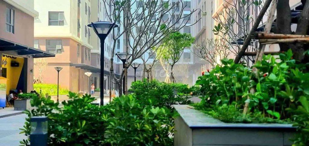 Chung cư Q8 giá rẻ nhất thị trường