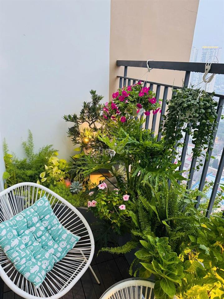 Căn Duplex góc, full nội thất có sổ Phú Đông Sky Garden 3pn2wc 104m2