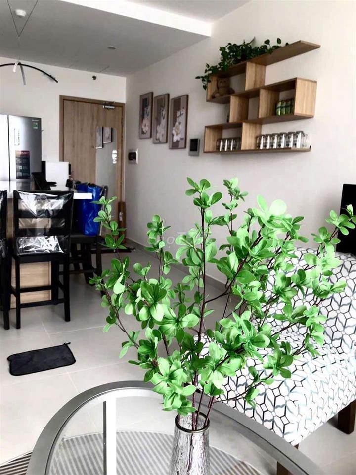 Giỏ hàng căn hộ Aurora, quận 8