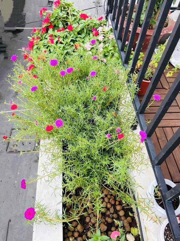 🛑Nhà mới đẹp, 3 tầng (4.3x10m), sổ đẹp, hẻm 3.5m Âu Dương Lân