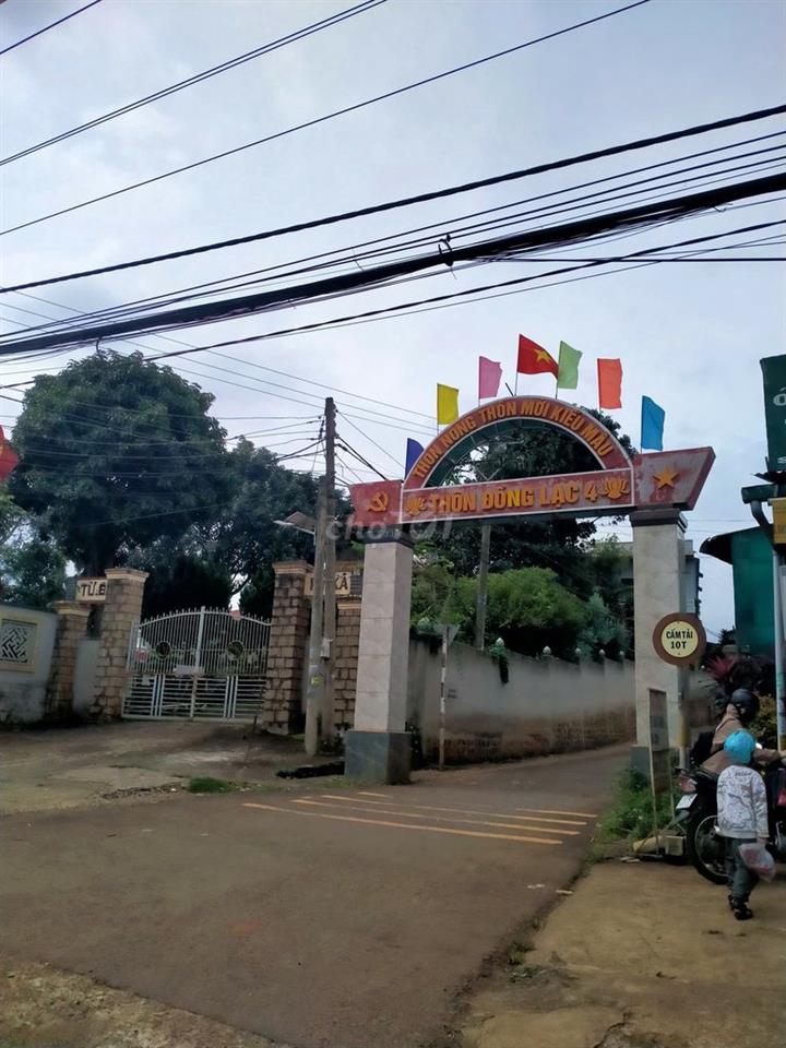 Đất trồng cây lâu năm chính chủ tại xã Đinh Lạc