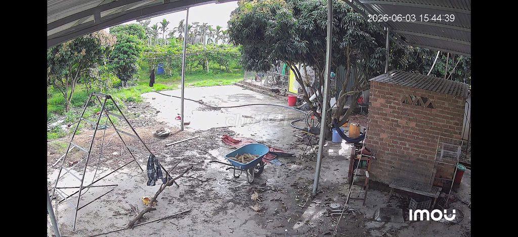Cần bán đất vườn trang trại nhà yến.
