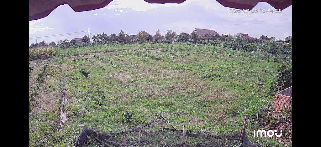 Cần bán đất vườn trang trại nhà yến.