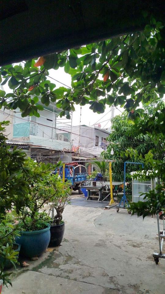 nhà cố cao lỗ