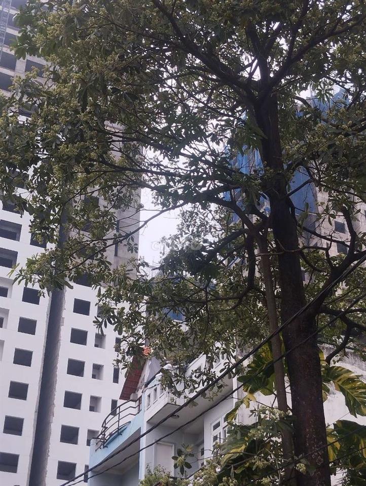 Đất nền dự án 