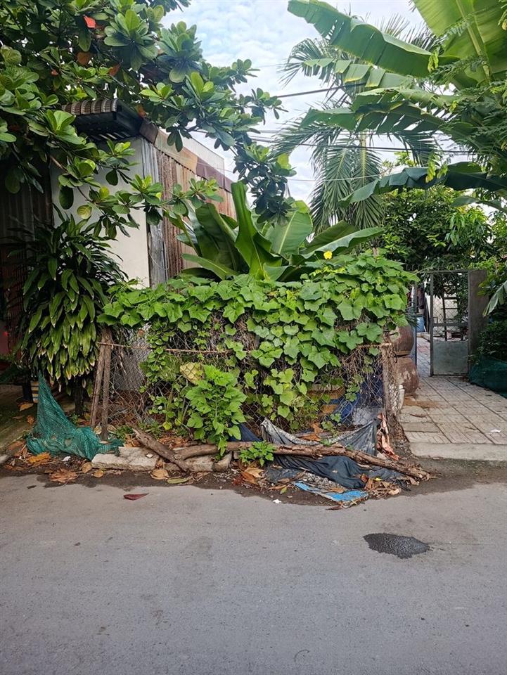 Cần bán đất