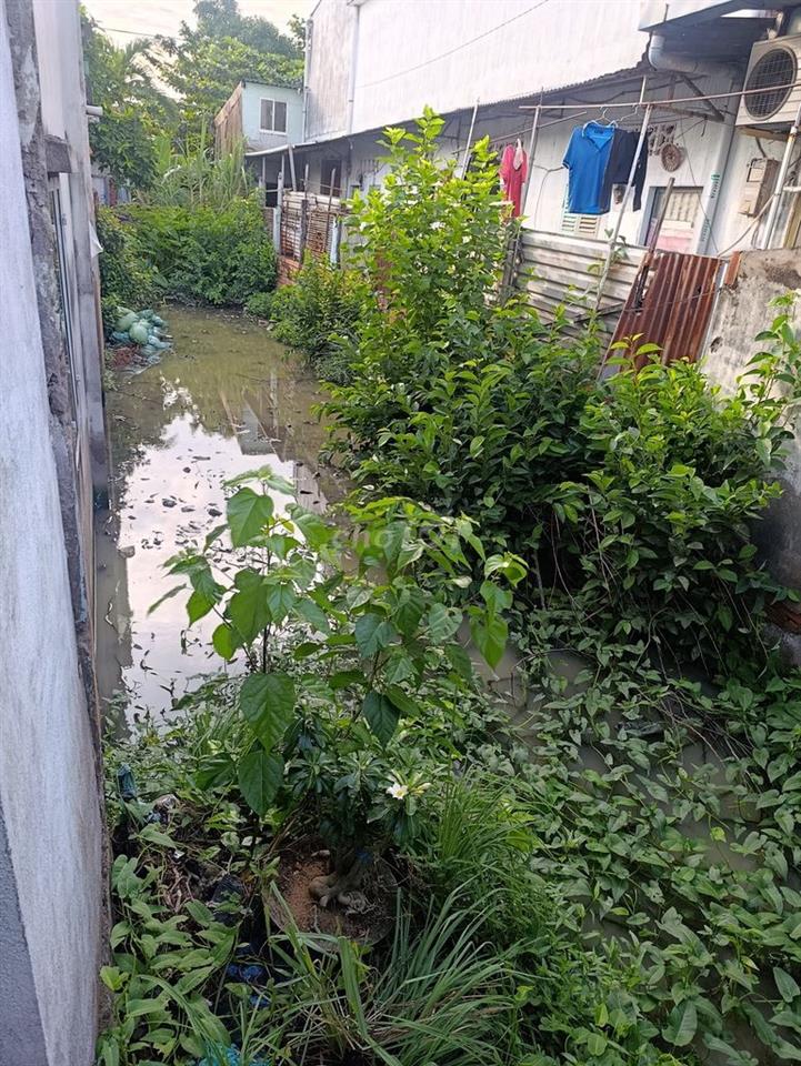 Cần bán đất