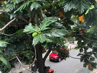 Căn góc lầu 1 chung cư Vườn Lài .DT 72m trên sổ
