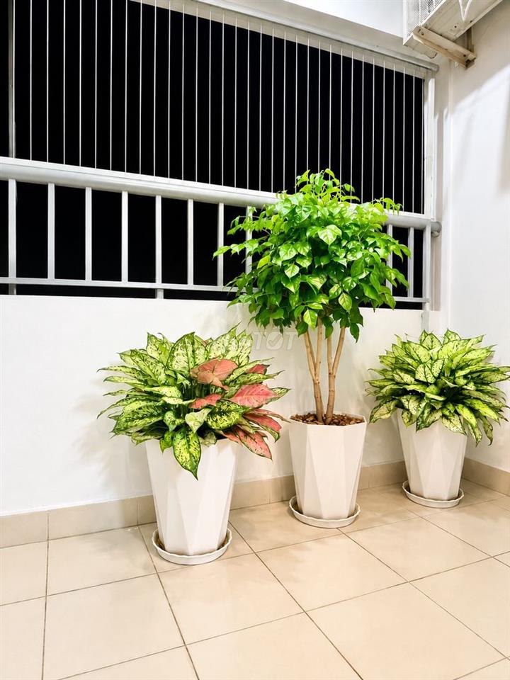 CHO THUÊ CĂN HỘ BABYLON 50M² – 1PN 1WC – NỘI THẤT CƠ BẢN – CHỈ 8,5TR