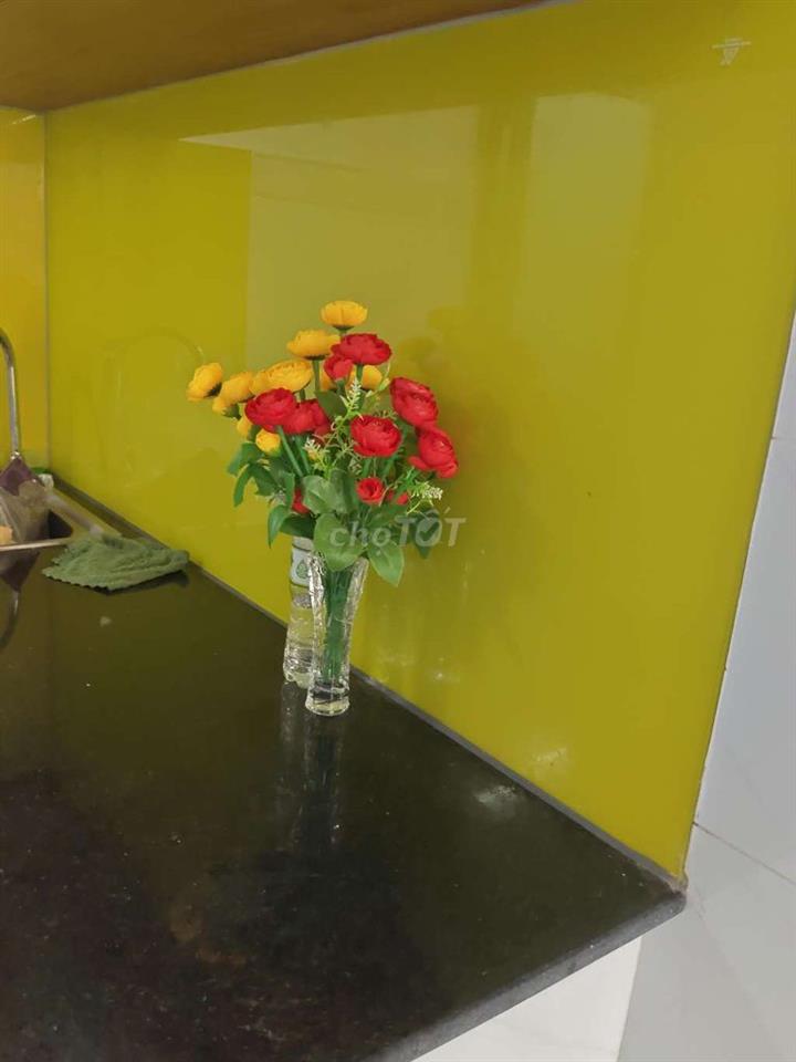 NHÀ CHÍNH CHỦ CẦN BÁN GẤP GIÁ RẺ TÂN BÌNH 