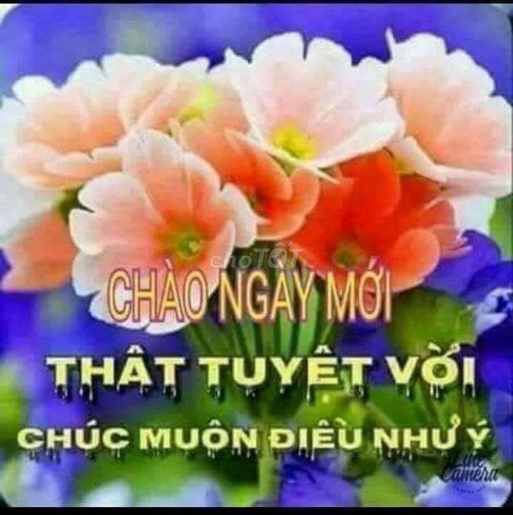 bán nhà 2 mặt tiền, đuờng rộng 25m và 10m, cách nhà ga T3 sb TSN 5p