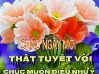bán nhà 2 mặt tiền, đuờng rộng 25m và 10m, cách nhà ga T3 sb TSN 5p