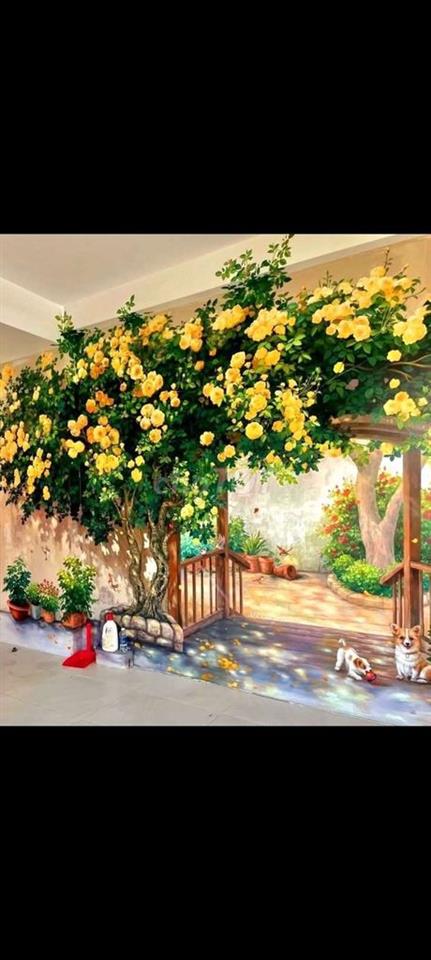 Cho thuê 1 phòng lầu 1 nhà mặt tiền đường Hồng Lạc