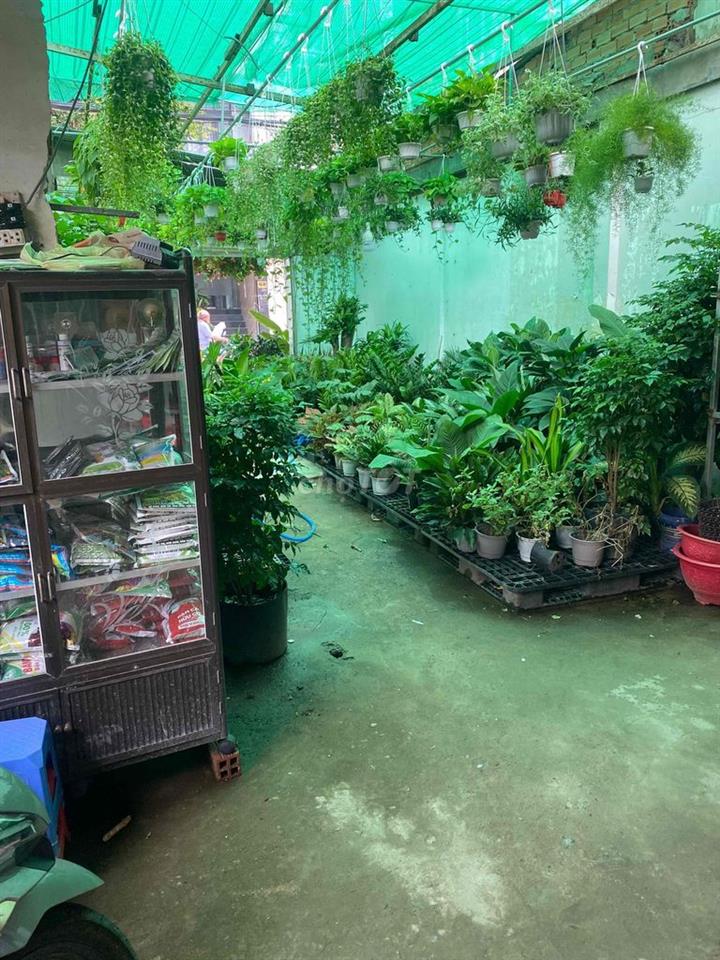 Sang nhượng mặt bằng buôn bán cây