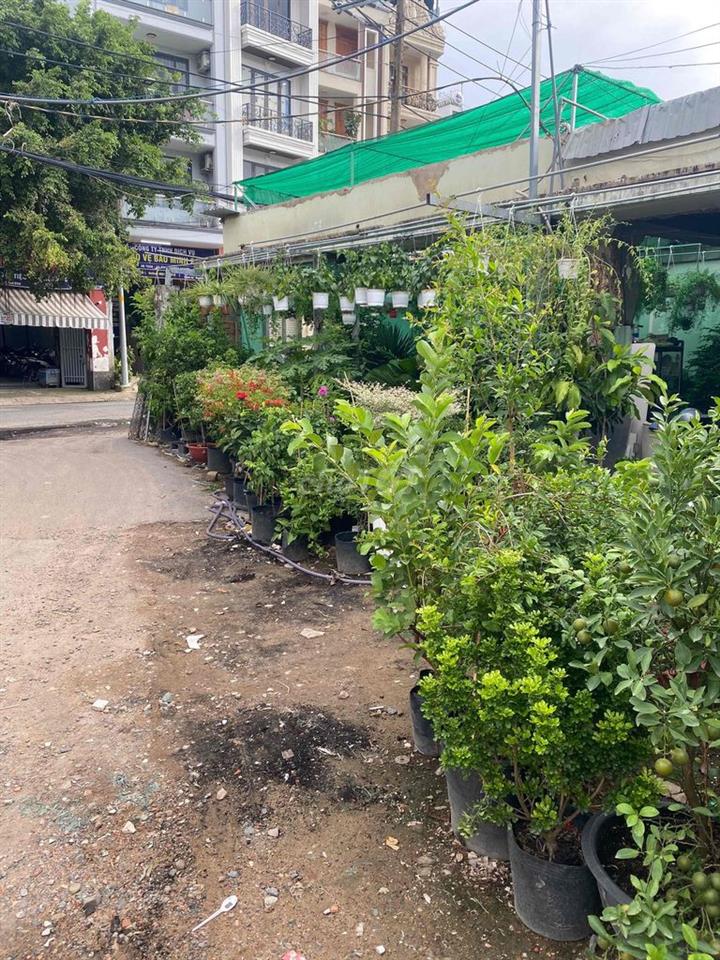 Sang nhượng mặt bằng buôn bán cây