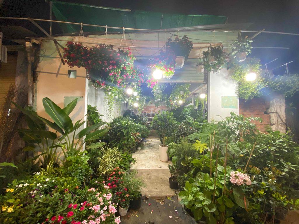Sang nhượng mặt bằng buôn bán cây
