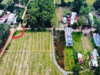 Chính Chủ Cần Bán 3 Lô Góc , X.Long Khánh, Bến Cầu, 9,3x24m, Giá 520tr