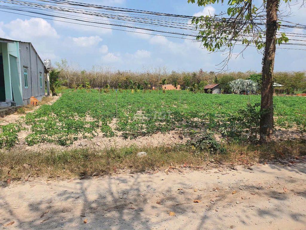 Đất X. Hoà Thạnh, Ngay TT Hành Chính, Trường Học, 5x50m, Giá 285tr TL
