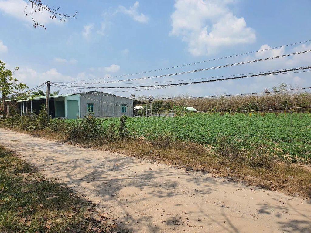 Đất X. Hoà Thạnh, Ngay TT Hành Chính, Trường Học, 5x50m, Giá 285tr TL