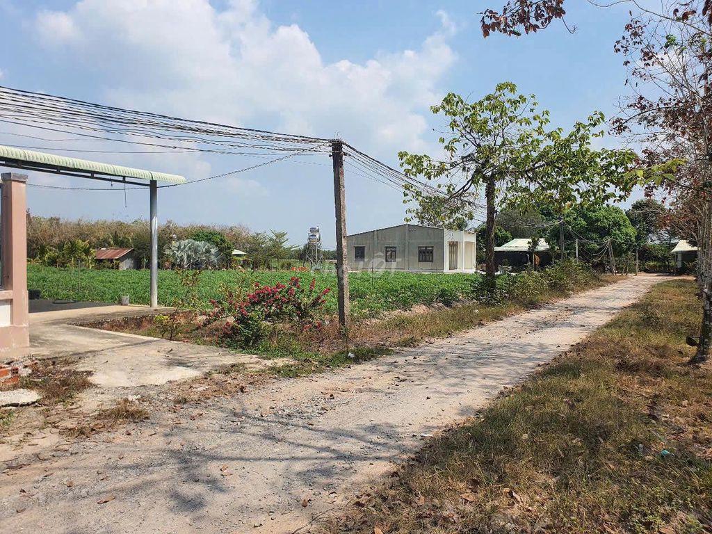 Đất X. Hoà Thạnh, Ngay TT Hành Chính, Trường Học, 5x50m, Giá 285tr TL