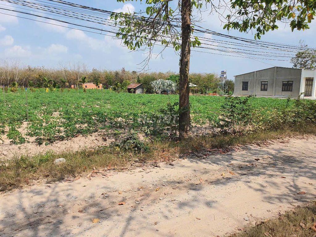 Đất X. Hoà Thạnh, Ngay TT Hành Chính, Trường Học, 5x50m, Giá 285tr TL