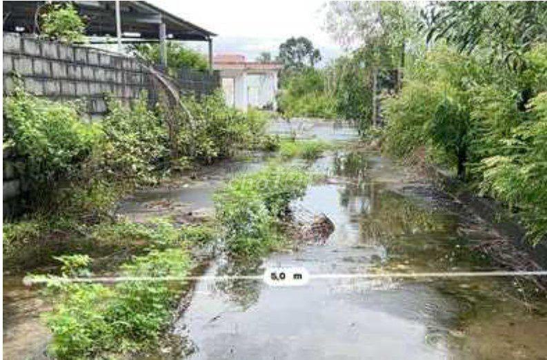 🌴 ĐẤT RỘNG 5.000 m² TẠI ẤP BẾN TRÀM – CỬA DƯƠNG