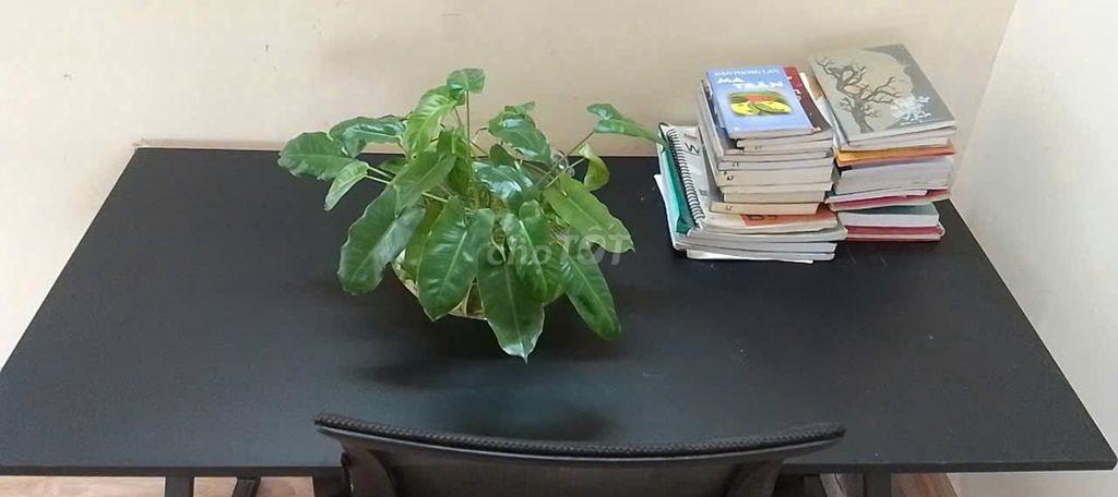 Cho 1-2 người độc thân, thuê phòng Lầu 2, đẹp giá rẻ, đủ nội thất