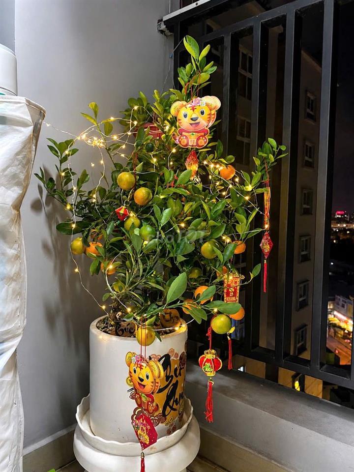 🏡 **CHÍNH CHỦ CẦN BÁN CĂN HỘ AN GIA GARDEN – 2PN/2WC – TÂN PHÚ**