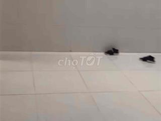 Bán gấp Chung cư Tầng trệt Sơn Kì,dt:110m2,2Pn-2wc,q.tân phú