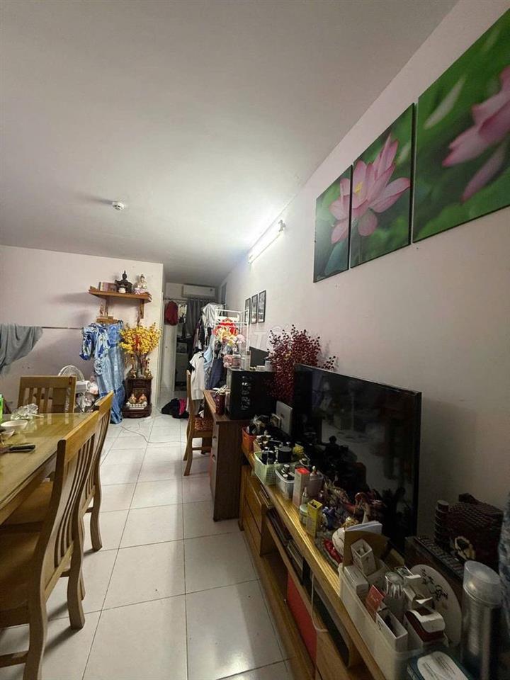 Ngộp Chung cư 8x Plus Tô Hiệu